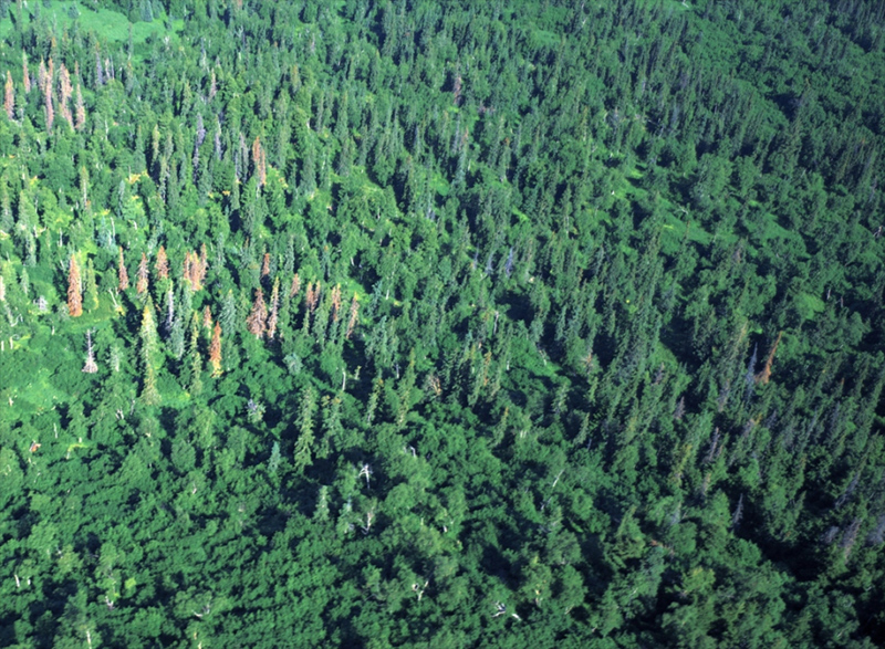 8cecf594-8735-11ed-87dd-52540099c722.jpeg 8cecf594-8735-11ed-87dd-52540099c722.jpeg